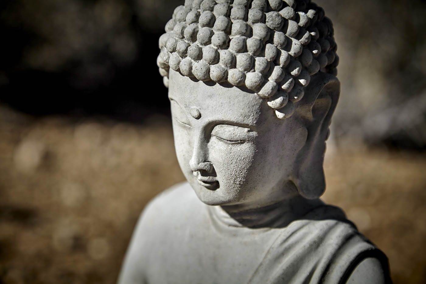 Close,Up,Of,Buddha,Statue,Showing,Head,And,Closed,Eyes